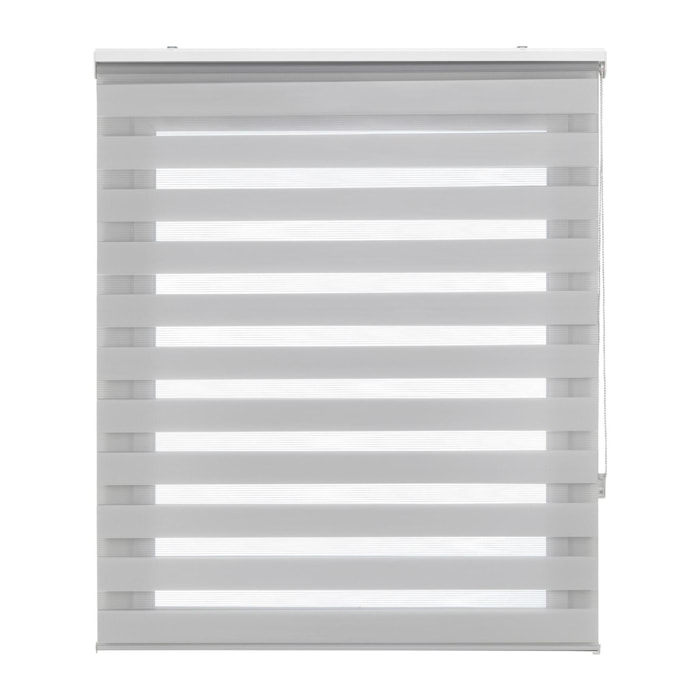 Store enrouleur Polyester Translucide 100x250