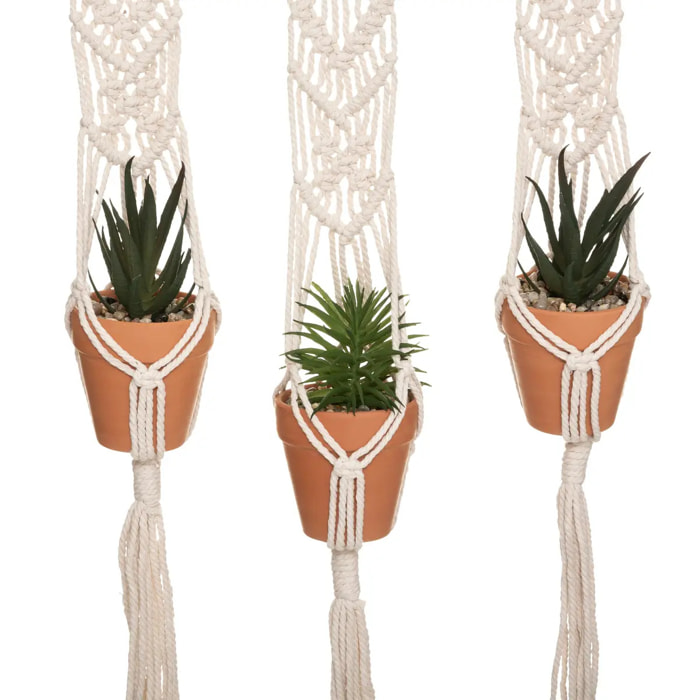 Lot de 3 plantes suspendues "Hacienda" - H75 cm