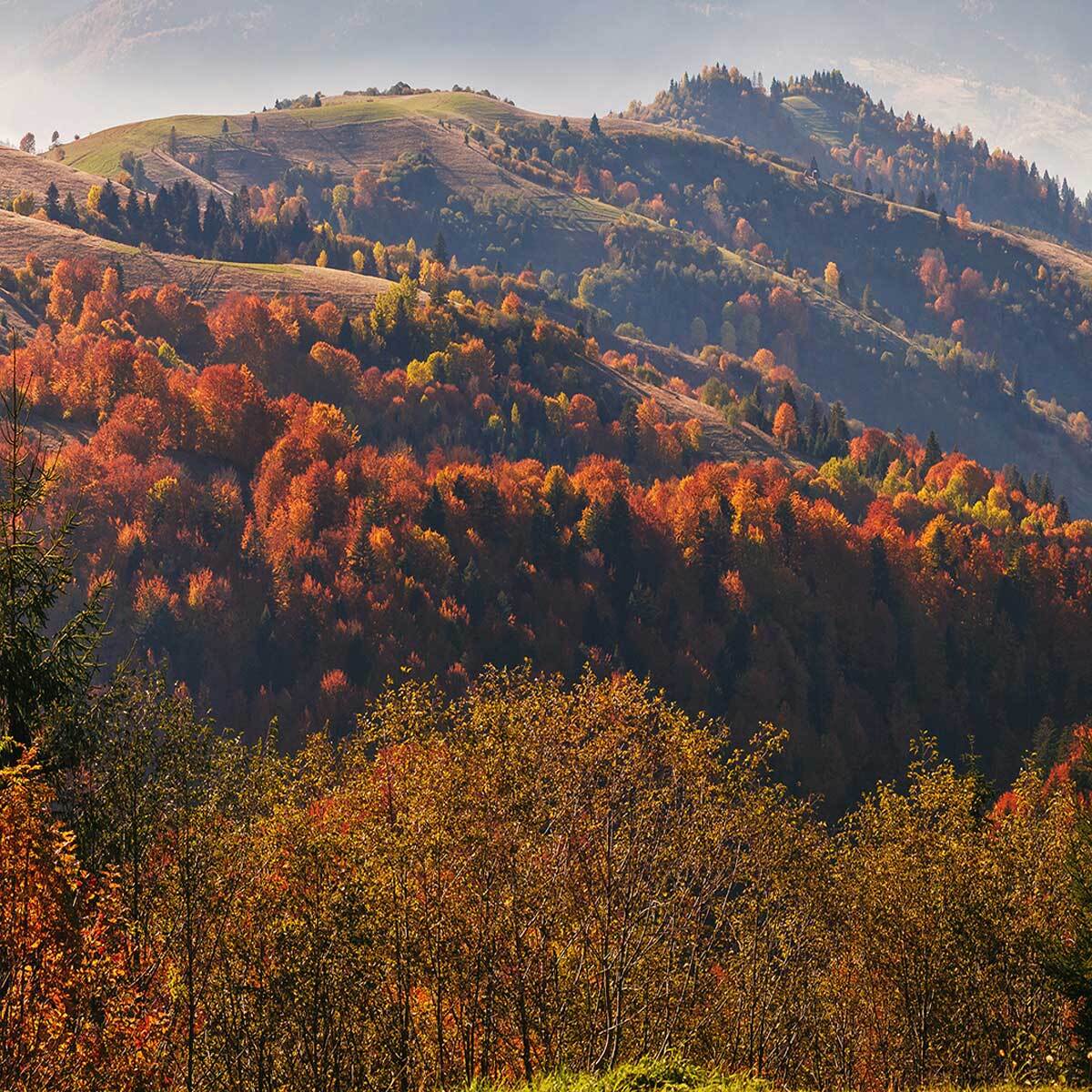Tableau panoramique vallées d'automne et collines colorées Toile imprimée