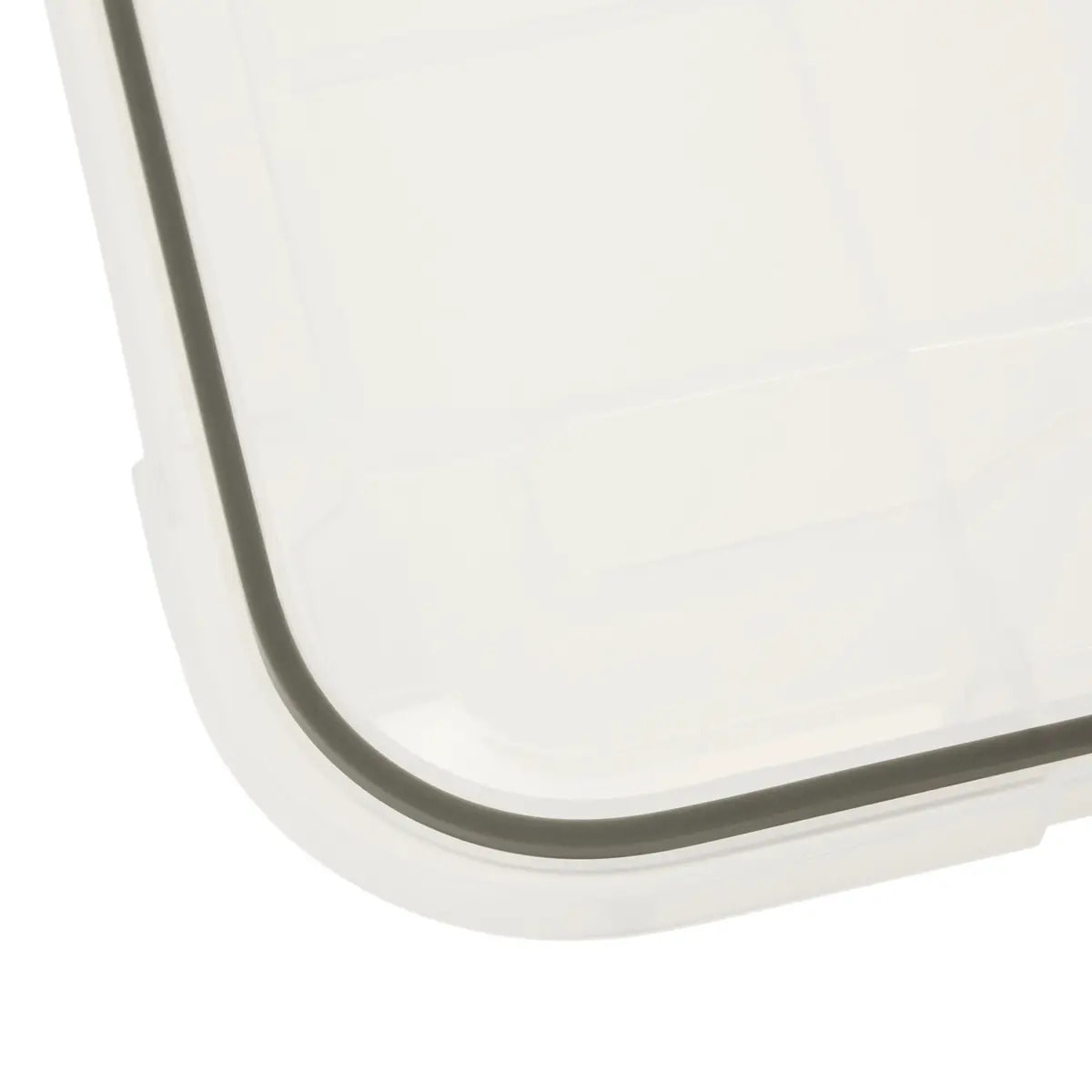 Boîte en plastique à clip 32L "Protect+"