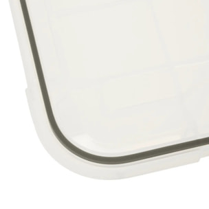 Boîte en plastique à clip 32L "Protect+"