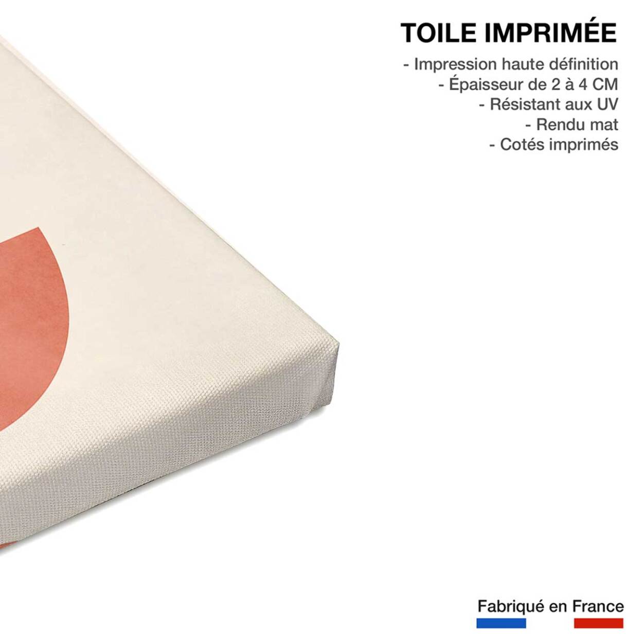 Tableau fleurs Copenhagen deco Toile imprimée