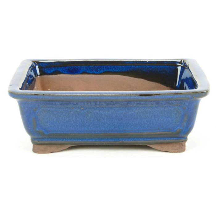 Tiesto bonsáis rectangular azul basic Class 20 cm
