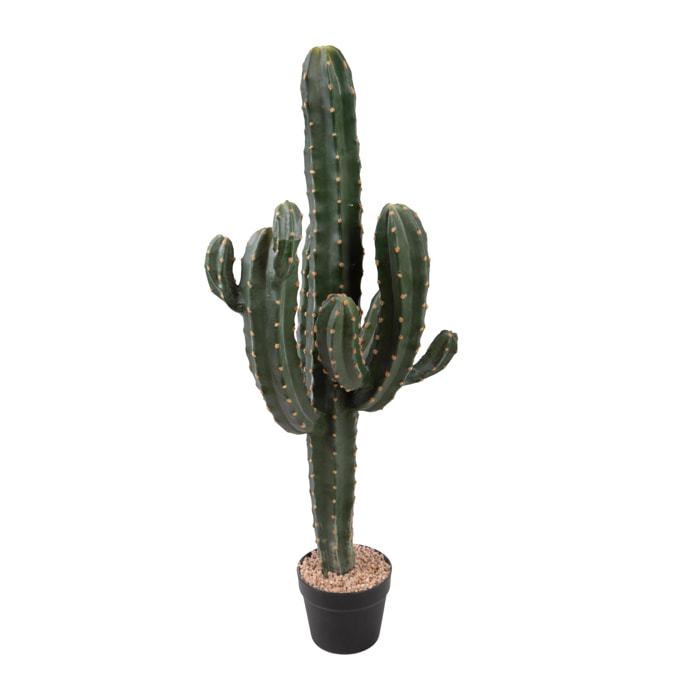 Cactus cereus con vaso - Pezzi 1 - Colore: Verde - Bianchi Dino