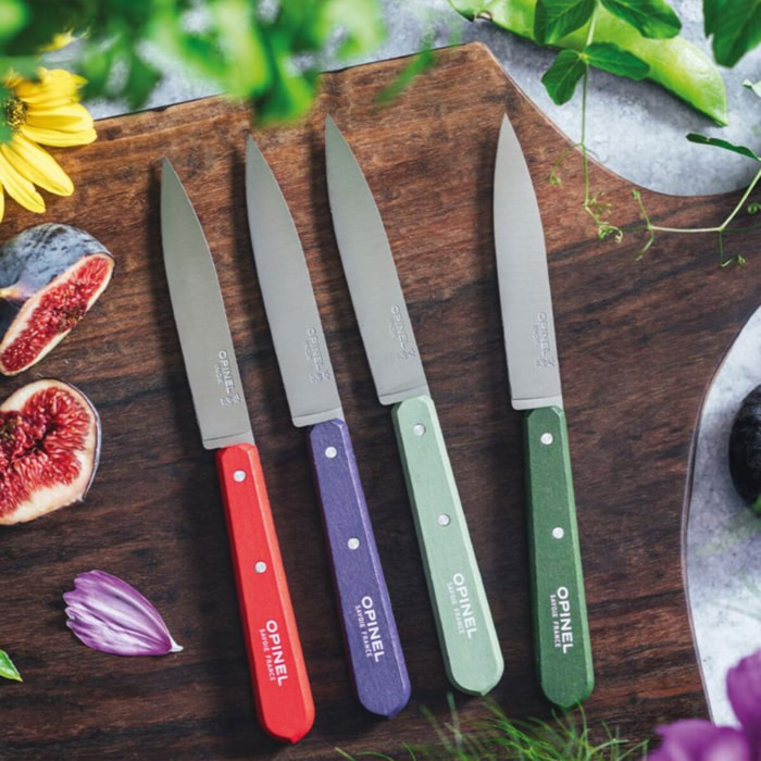 Set de couteaux OPINEL Coffret de 4 pcs N112 Paysage