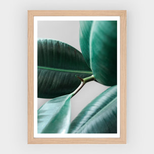 Poster Leaf