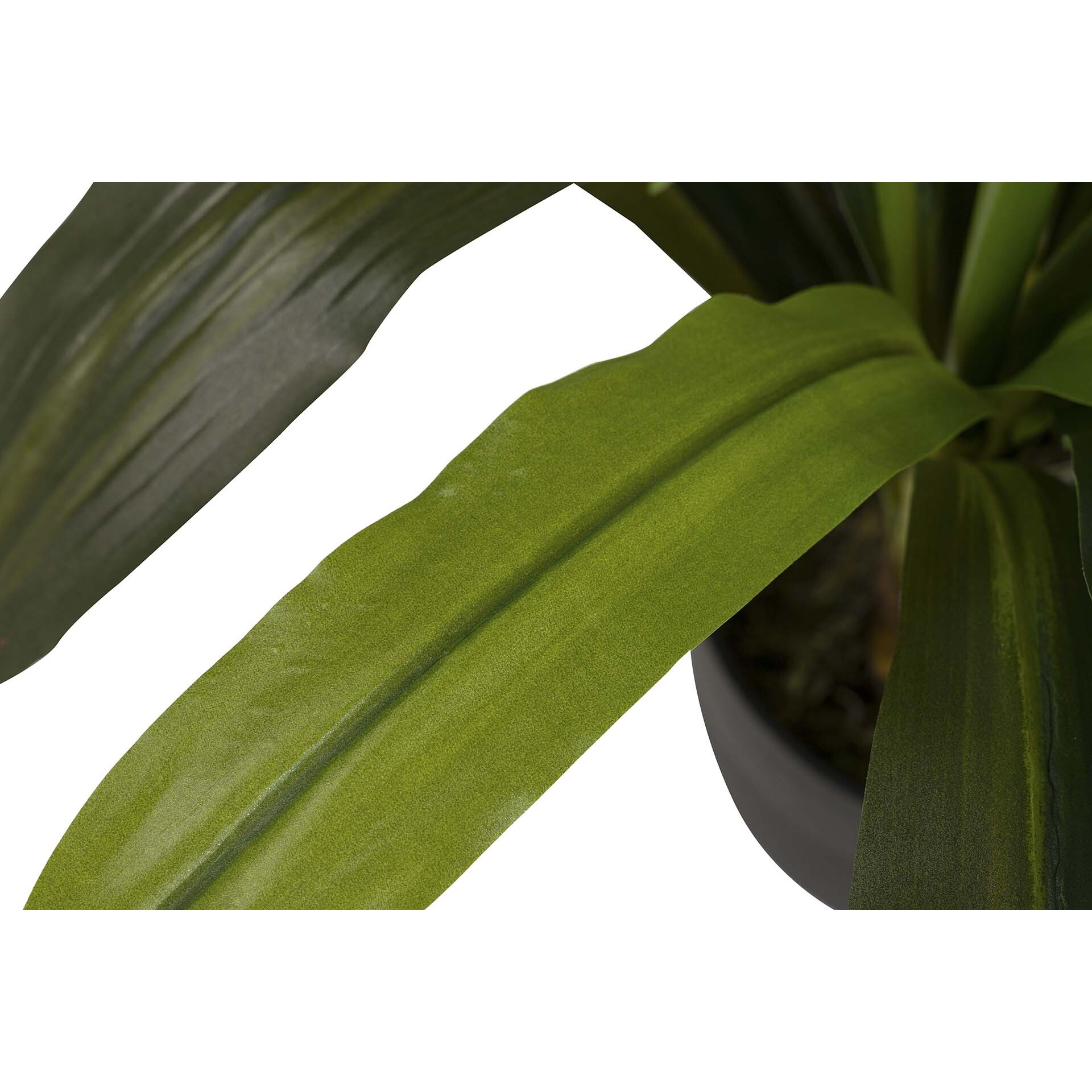 Planta Artificial Dracaena Fragrans Con Maceta 55x55x55 Cm