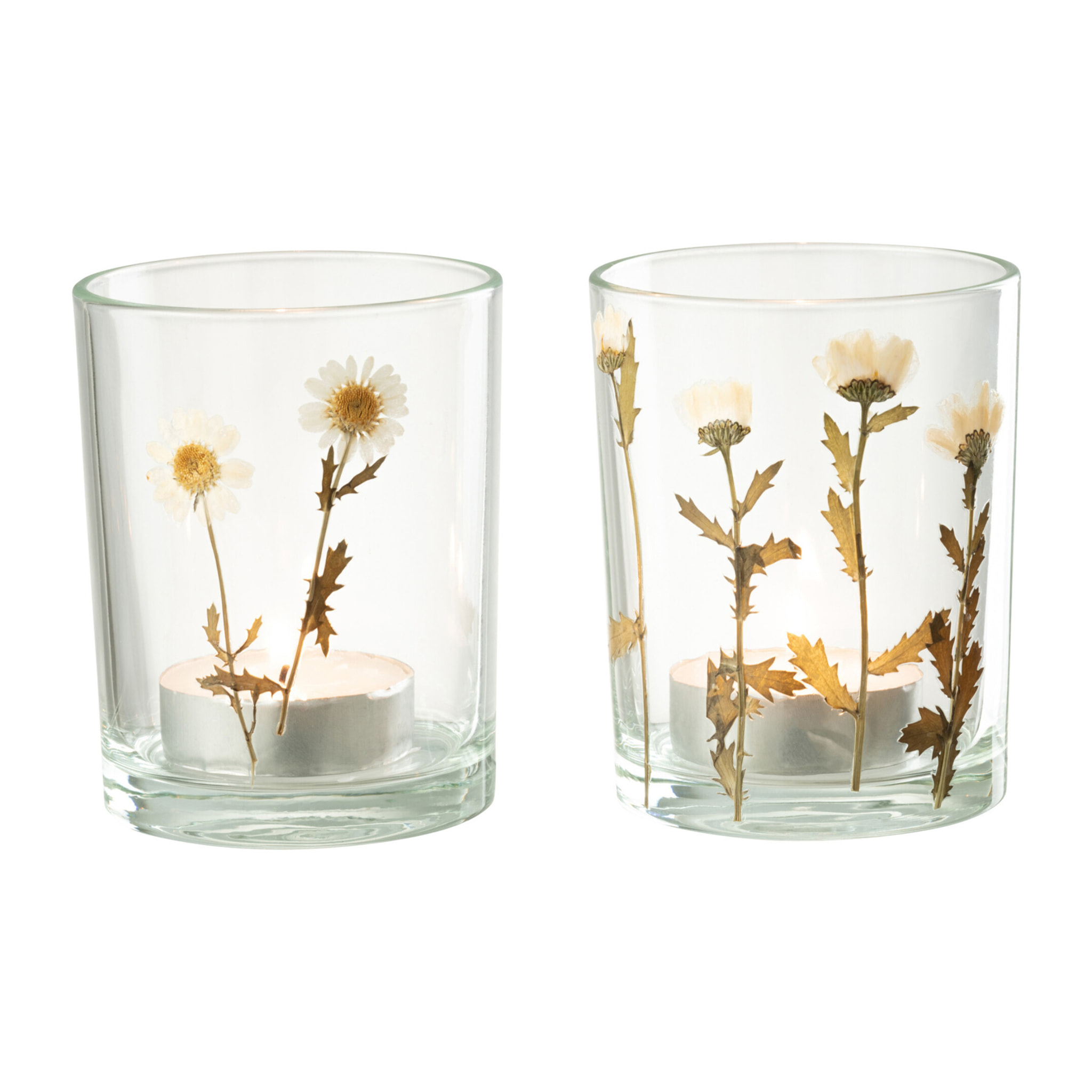 J-Line photophore Fleur Marguerite - verre - mix - 2 pcs