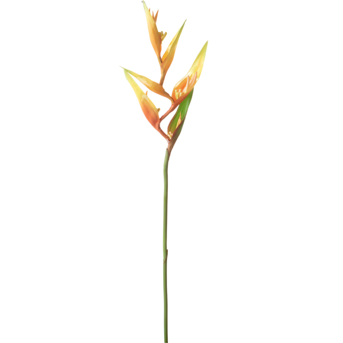 Heliconia 83 Cm - Pezzi 6 - 12X83X12cm - Colore: Arancio - Bianchi Dino - Fiori Artificiali