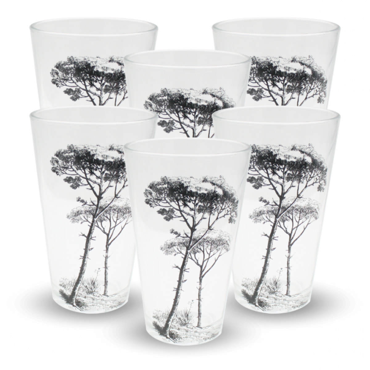 Lot de 6 verres, VILLA LES PINS