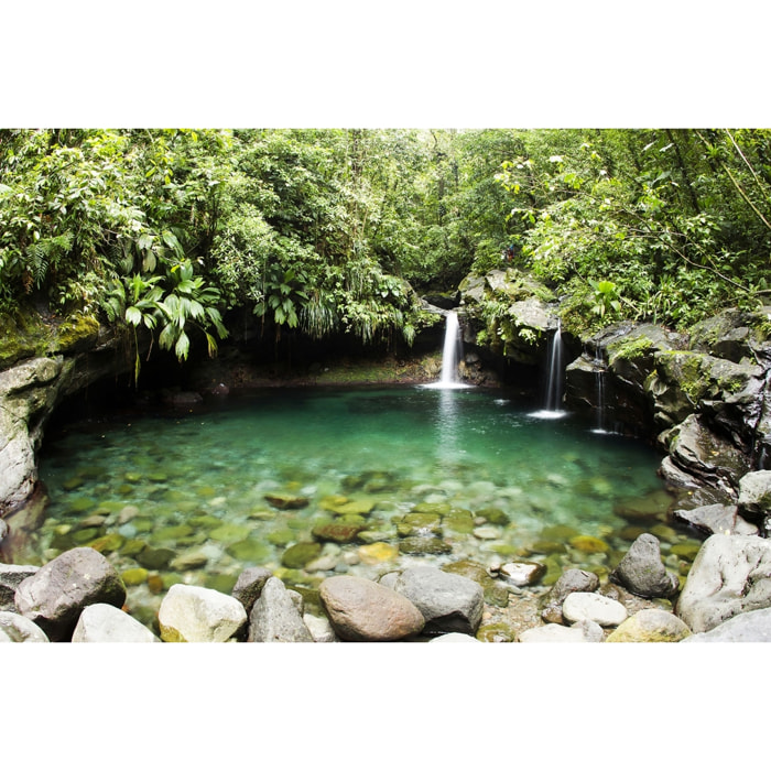 Tableau petit bassin Tableau alu Dibond