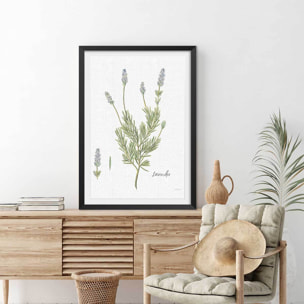 Affiche fleurs Lavande illustrée Affiche + cadre en bois - Noir
