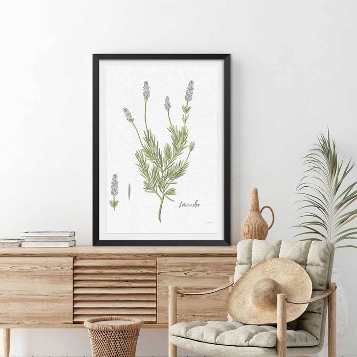 Affiche fleurs Lavande illustrée Affiche + cadre en bois - Noir