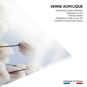 Tableau fleurs de coton au vent Tableau plexiglas