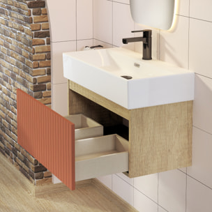 ENSEMBLE DE SALLE DE BAIN ZEL | MEUBLE SUSPENDU | 70 CM ÉCARLATE | UN TIROIR | LAVABO ENCASTRÉ | MIROIR NON INCLUS | MEUBLE MONTÉ | ALDAY