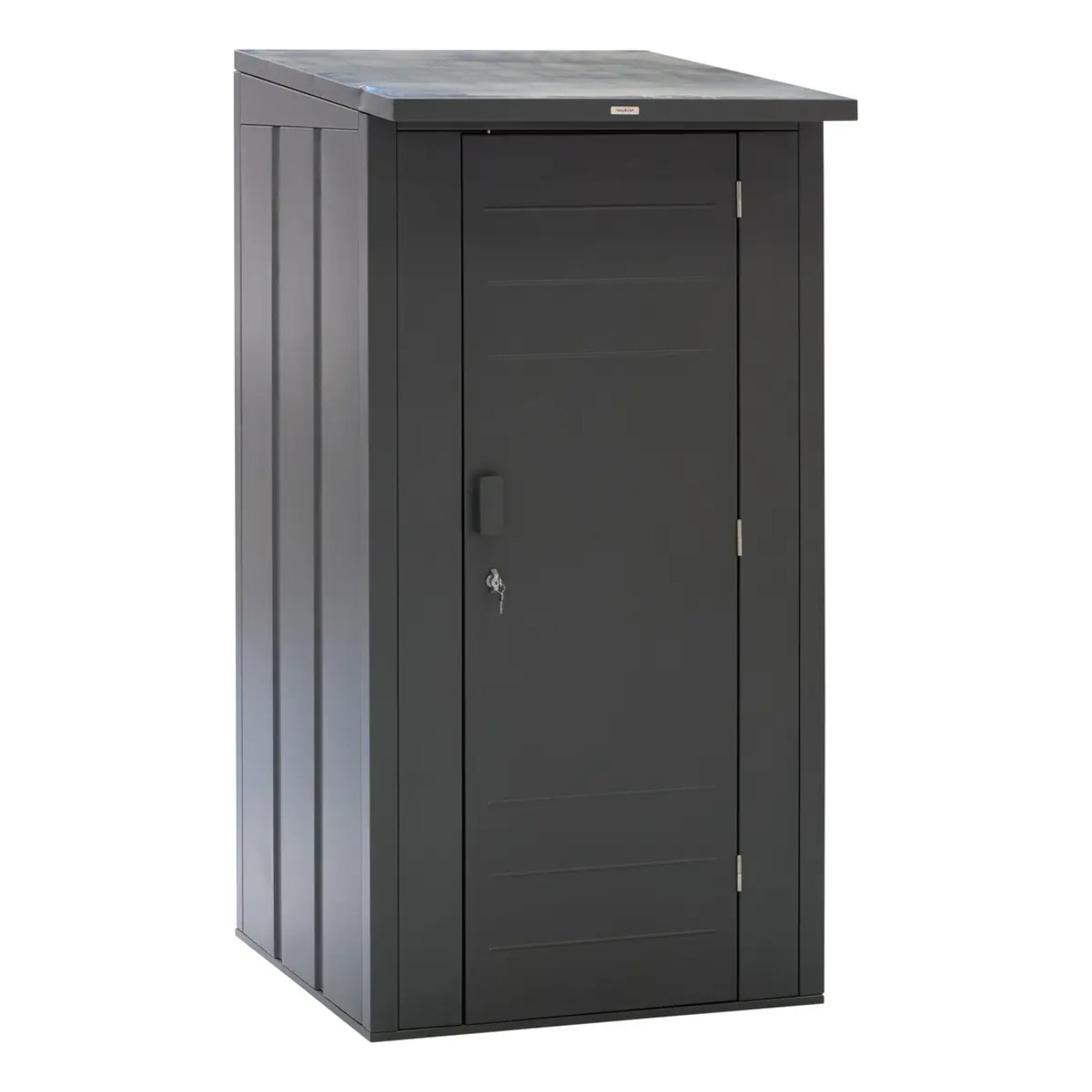 Armoire de jardin Forgia gris graphite en acier galvanisé 100x100x200 cm