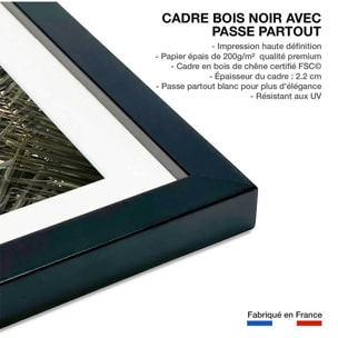 Poster sandy palme Affiche + cadre en bois - Noir