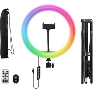 Lampe LED TNB Influence Anneau led 12''