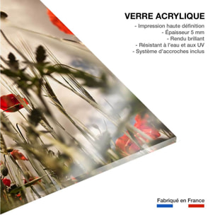 Tableau coquelicots décoration murale moderne Tableau plexiglas