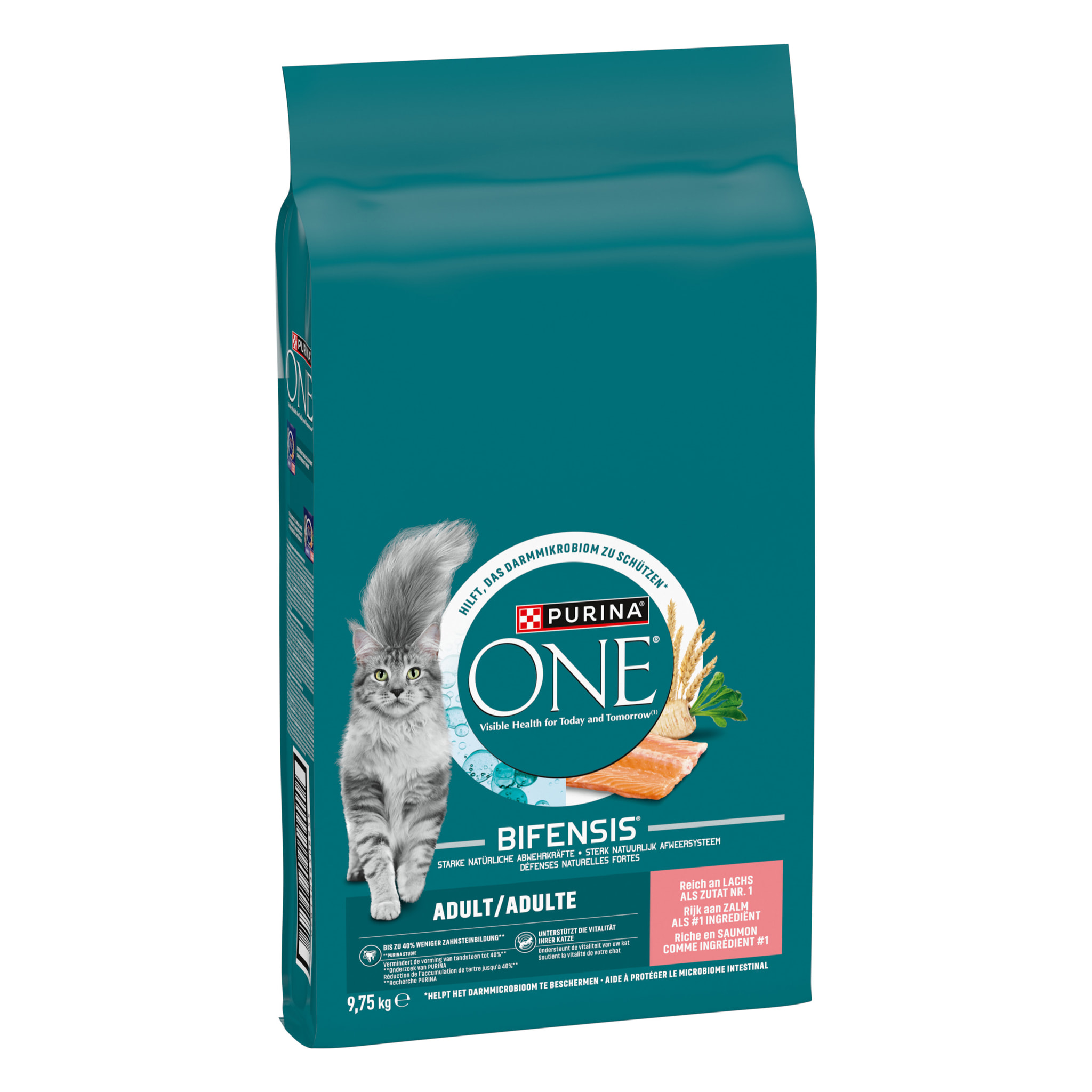 PURINA ONE Adulte Saumon 9,75kg