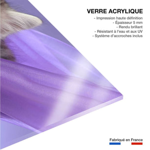 Tableau animaux chat  Tableau plexiglas