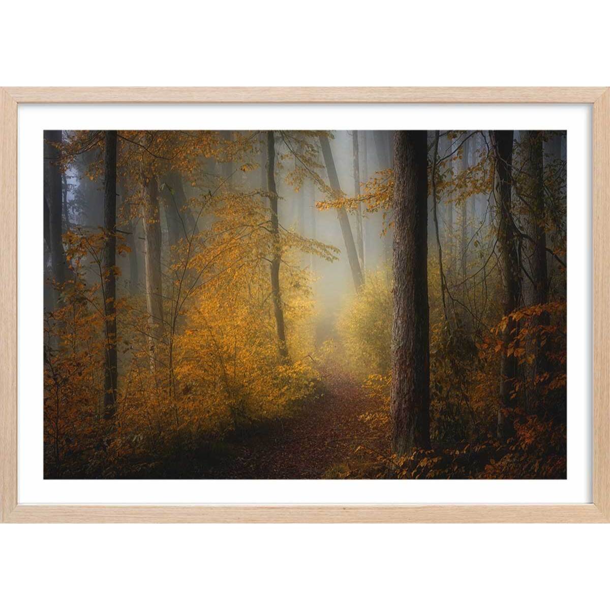 Affiche l'arbre et l'automne rouge Affiche + cadre en bois - Chêne