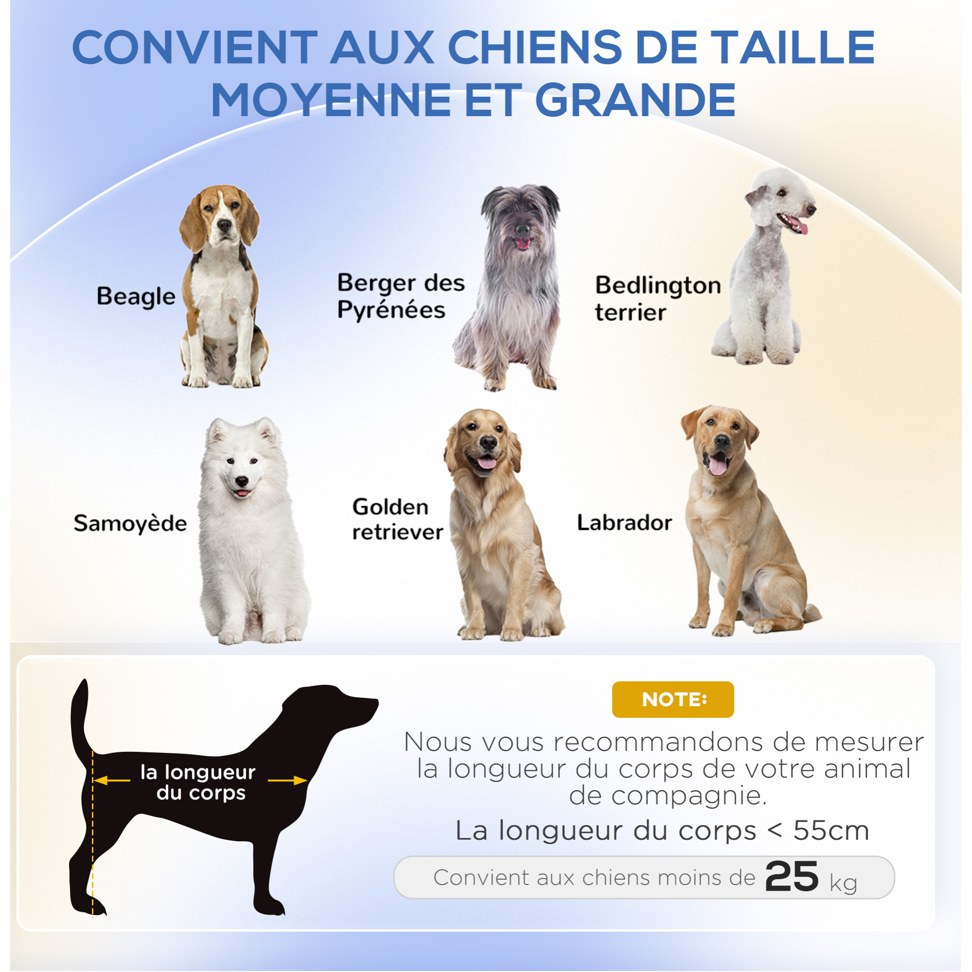 Canapé chien lit pour chien chat design contemporain dim. 101L x 62P x 34H cm coussin moelleux velours beige