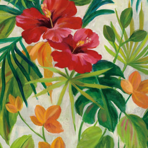 Poster Jardin tropical Affiche sous cadre bois