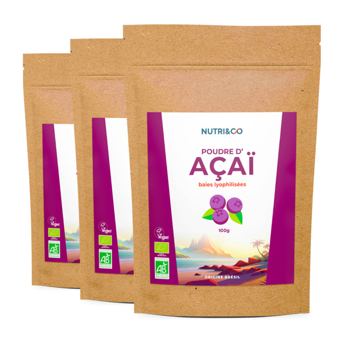 Poudre d'Acaï - Fer & Vitamine C - 100g Vegan - Lot de 3