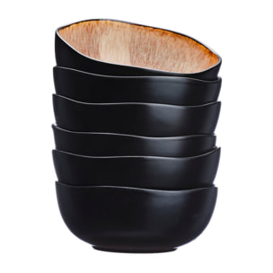 Bol IRIS Ø16,5cm - 6 pièces - Marron sauvage