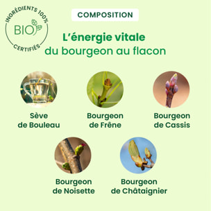 Herbalgem- Sève minceur - Bio - 250 ml