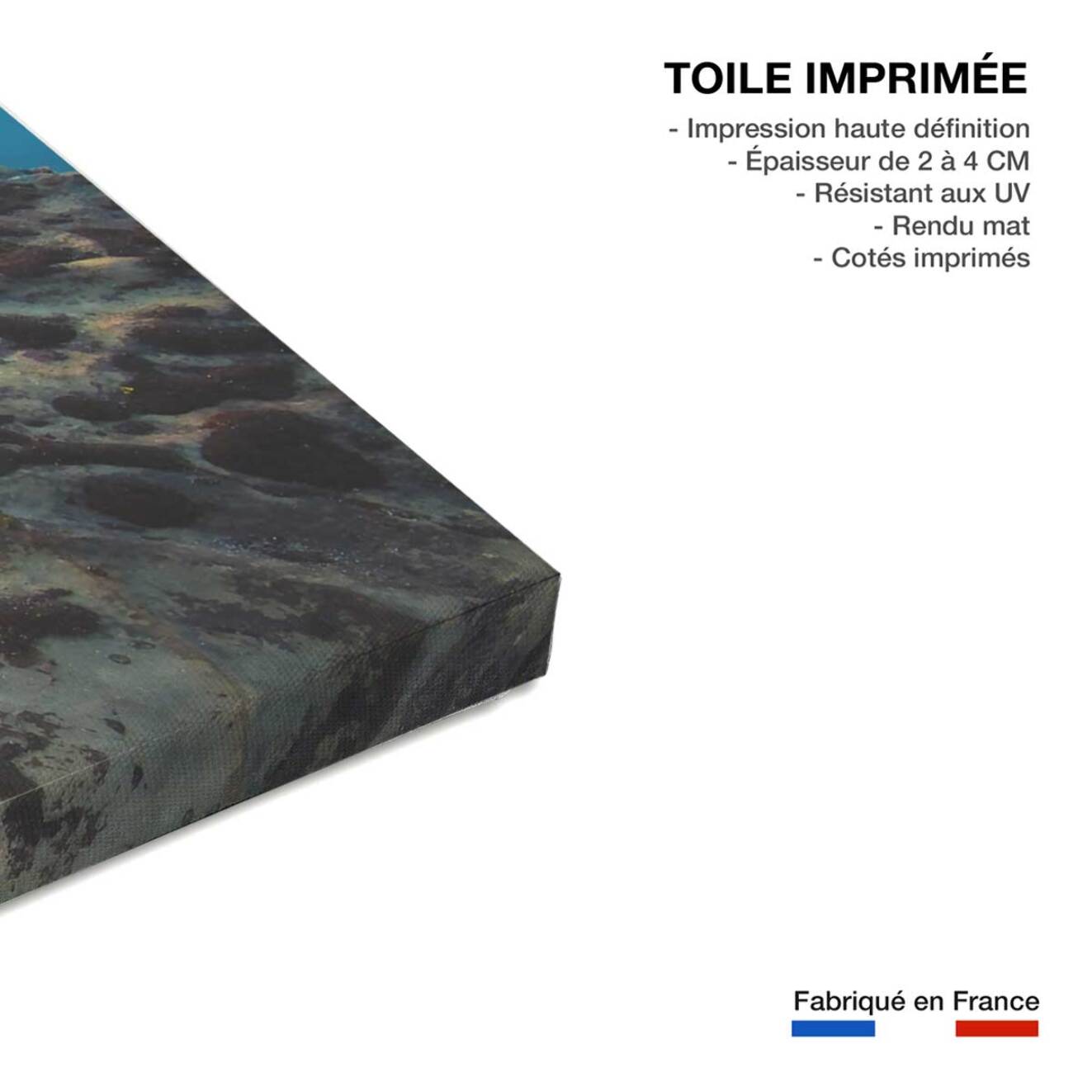 Tableau maori Toile imprimée