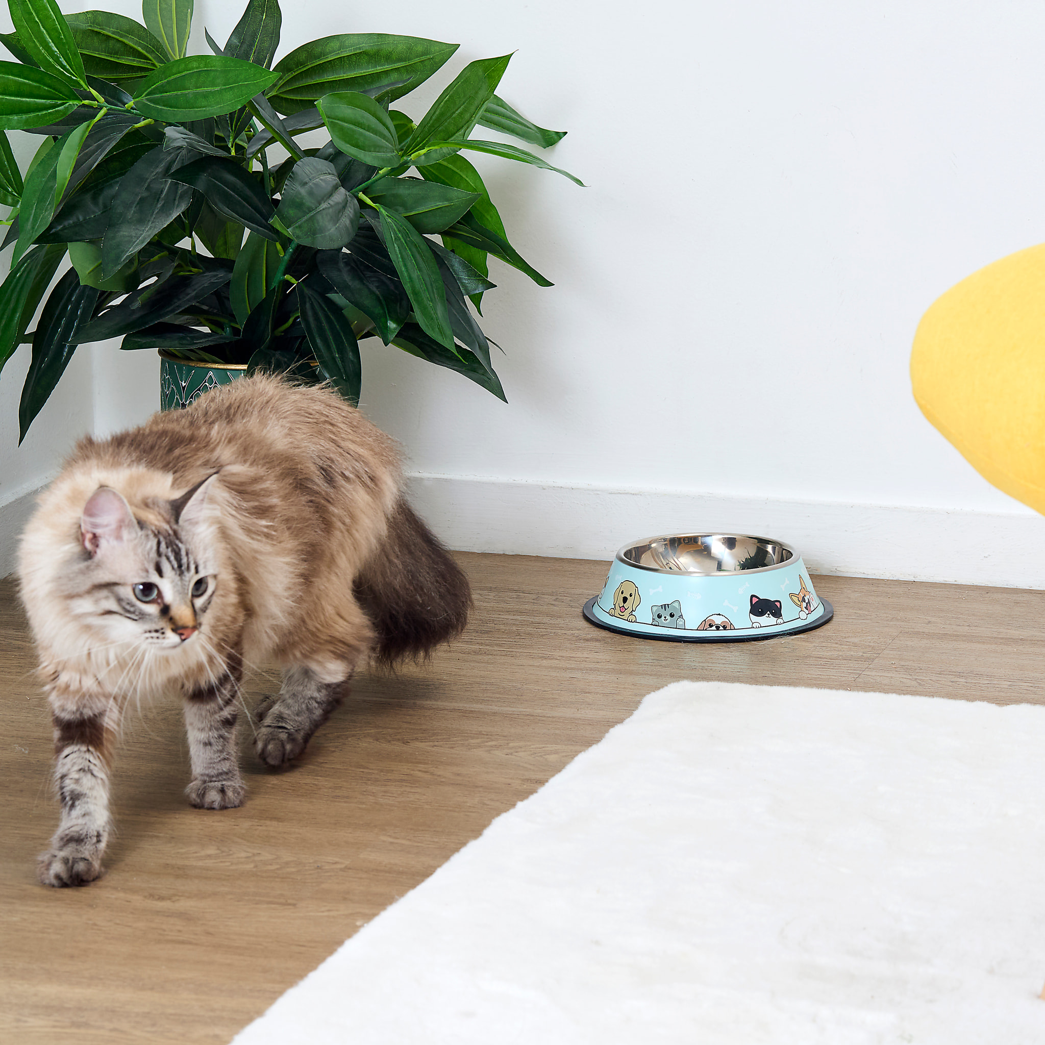 Gamelle Anti Derapante