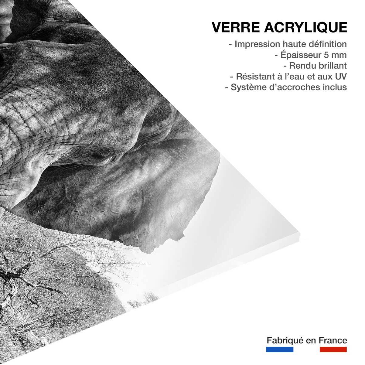 Tableau éléphant d'afrique Tableau plexiglas