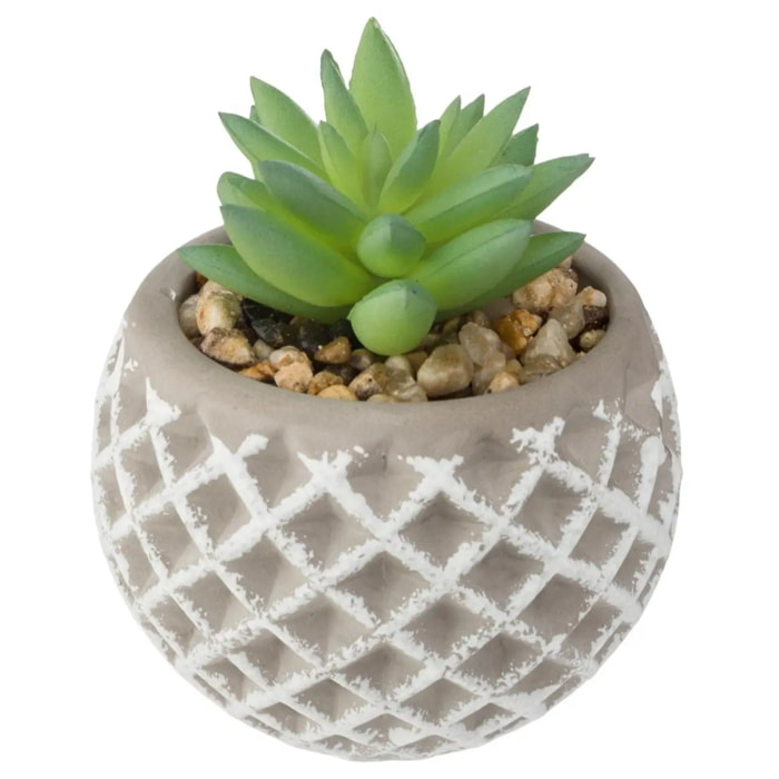 Succulente artificielle - pot en ciment - H9 cm