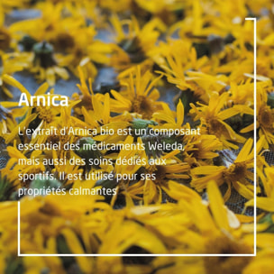 WELEDA - LOT Huile de massage Arnica 2x200ml + 1x100ml - Vegan* - Certifié Natrue**- Flacon 200ml et Flacon pompe 100ml