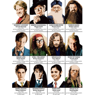 Affiche - Harry Potter Characters - Olivier Bourdereau