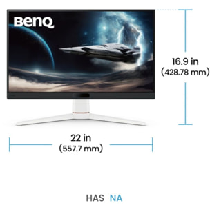 Ecran PC Gamer BENQ EX251 24''