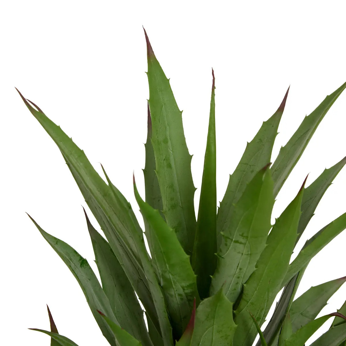 Agave artificiel Moda H.61cm vert