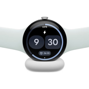Montre connectée GOOGLE Pixel Watch 5 41mm Argent - Brume