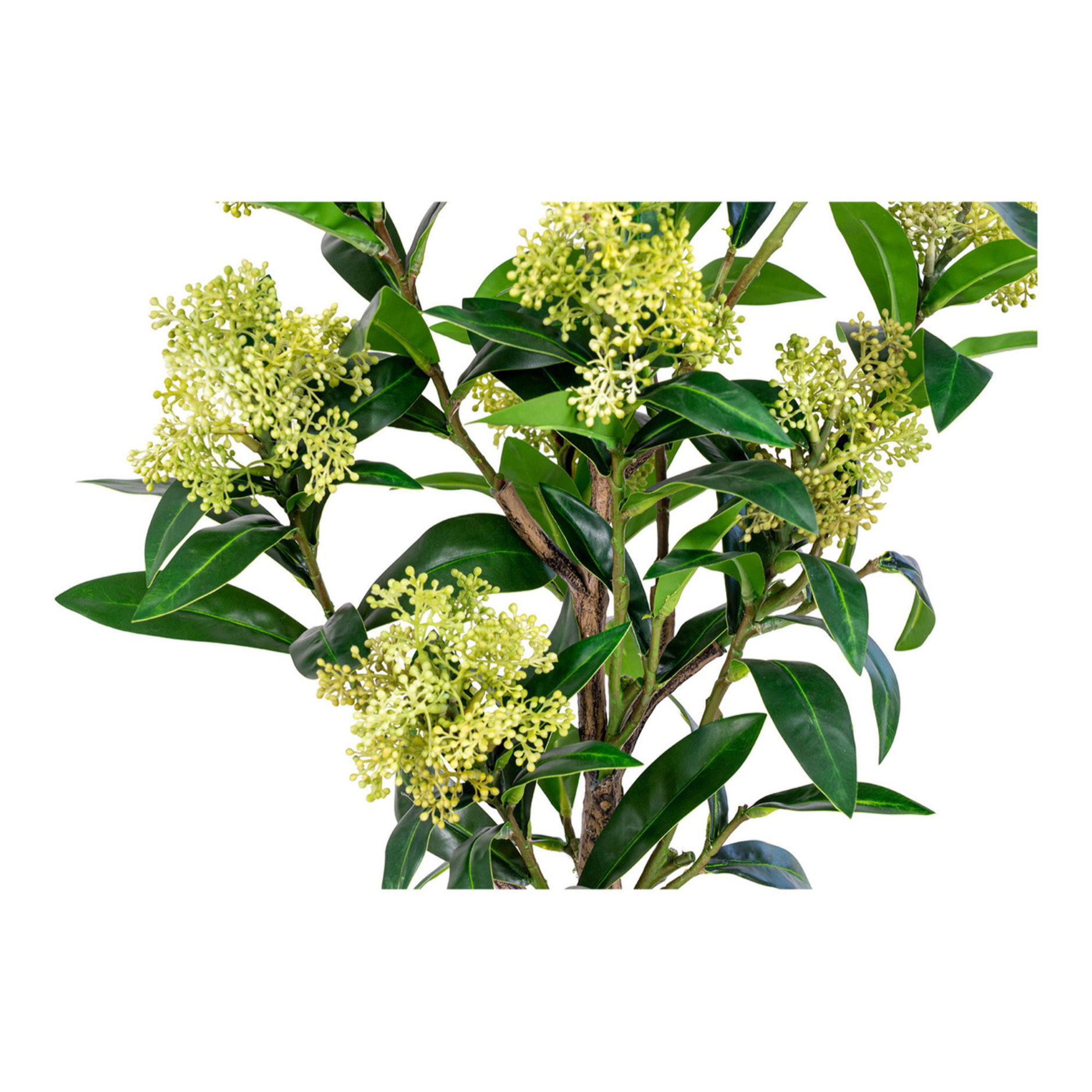 Skimmia artificiale in vaso Vikasa Home — H 75 cm