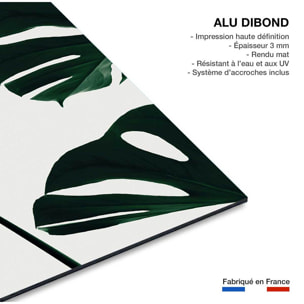 Tableau monstera quattro Tableau alu Dibond