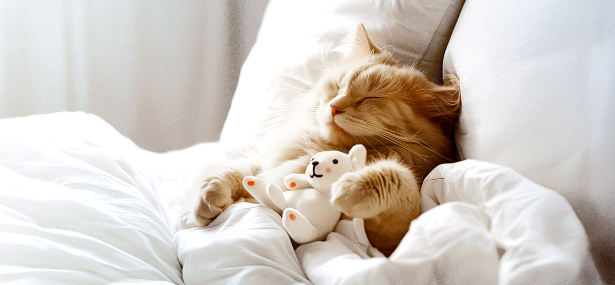 DODO en promo sur VEEPEE