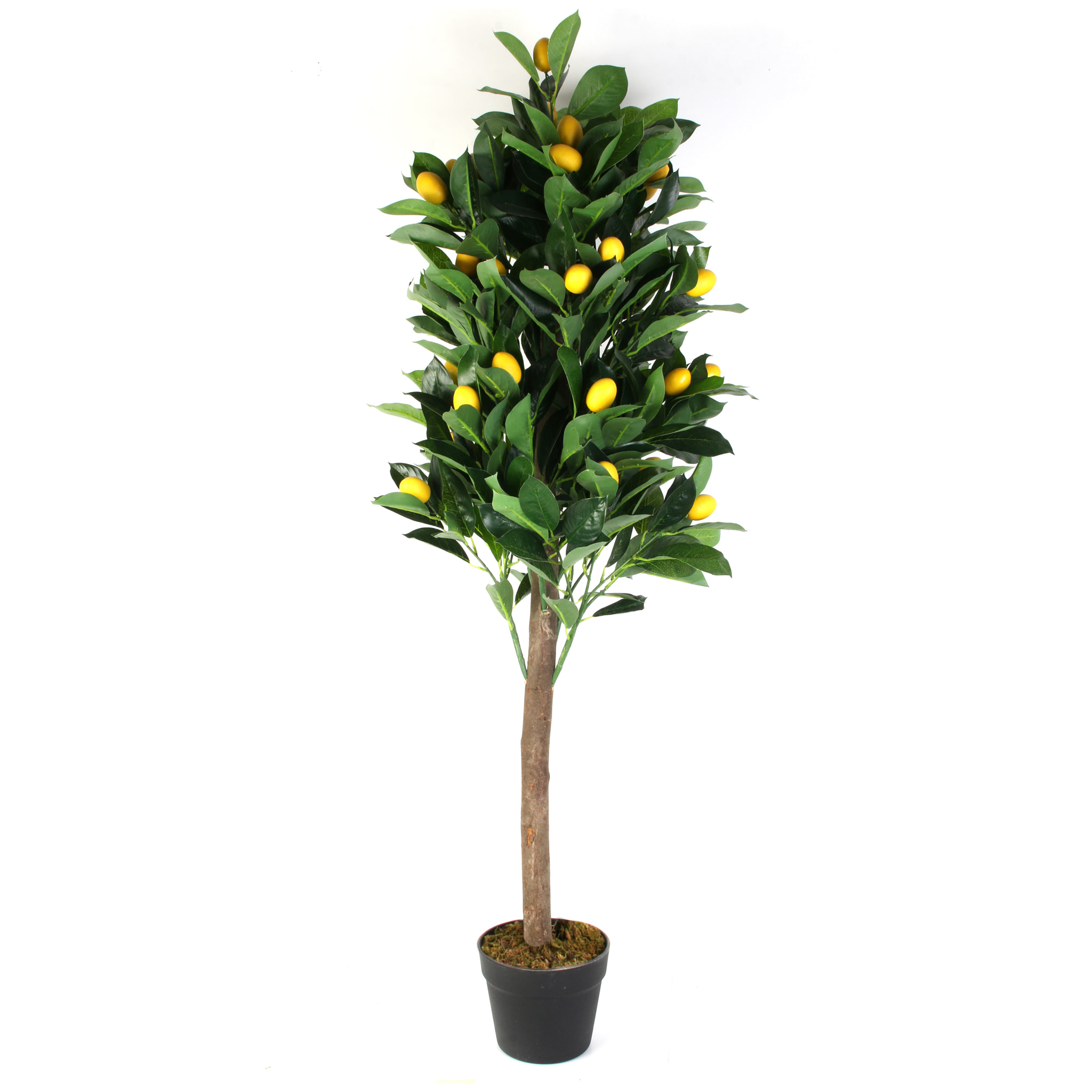 Plante Artificielle Citronnier 120c