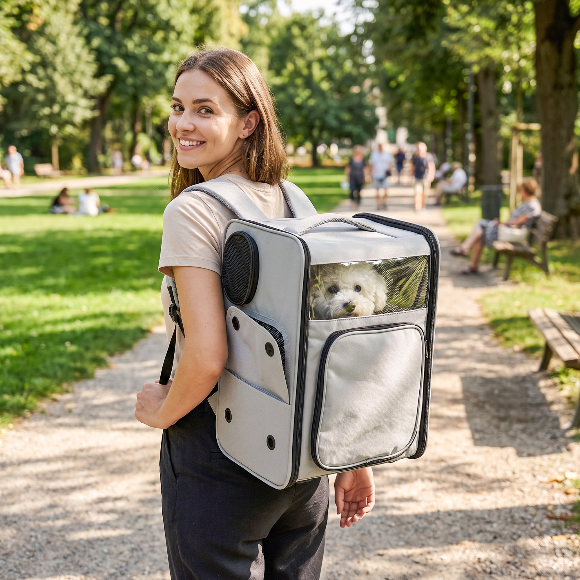Sac de transport trolley télescopique amovible chien chat gris clair noir