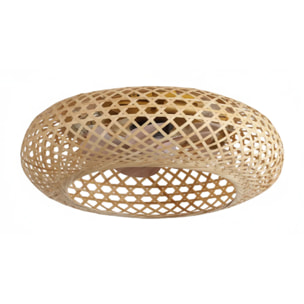 Ventilateur Plafond E27 SOLVIA D48CM