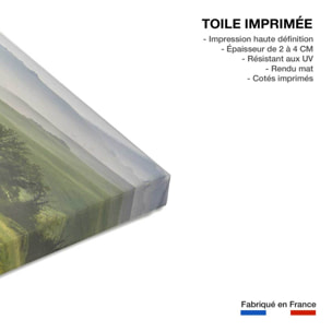 Tableau nature printemps toscan  Toile imprimée