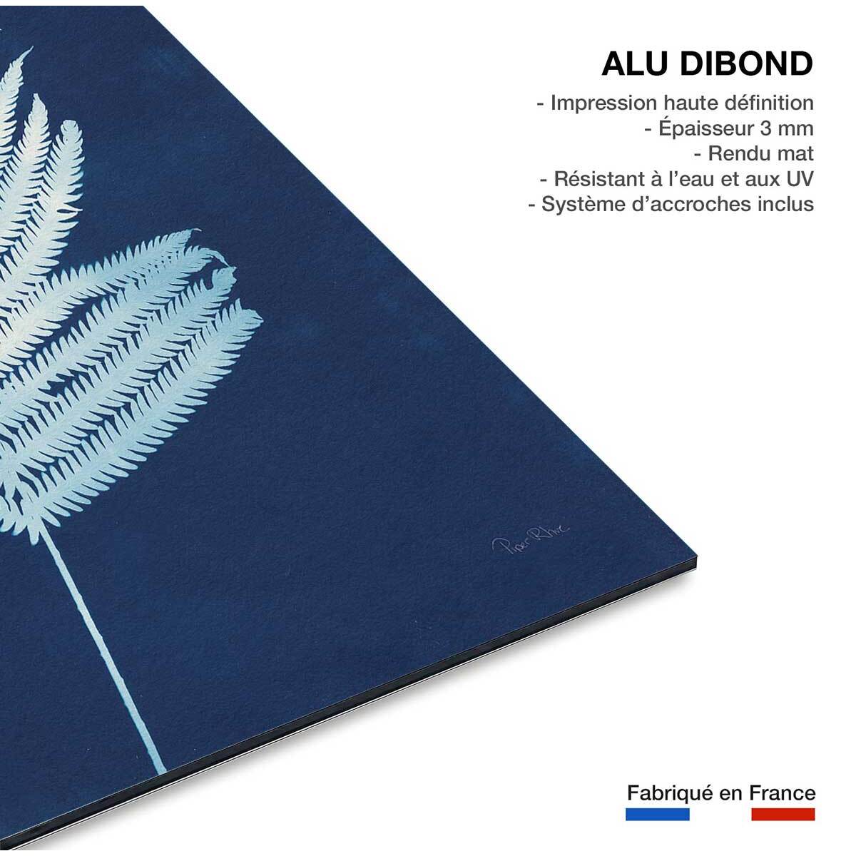 Tableau fleurs Fougère d'argent Tableau alu Dibond