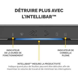 Destructeur FELLOWES MICROSHRED LX210 NOIR