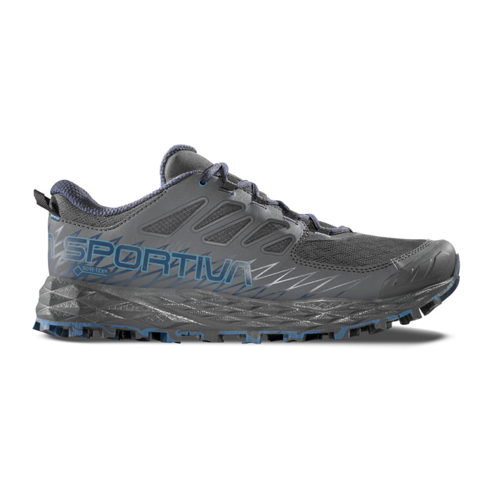 Lycan Goretex Hombre Zapatillas Trail Running